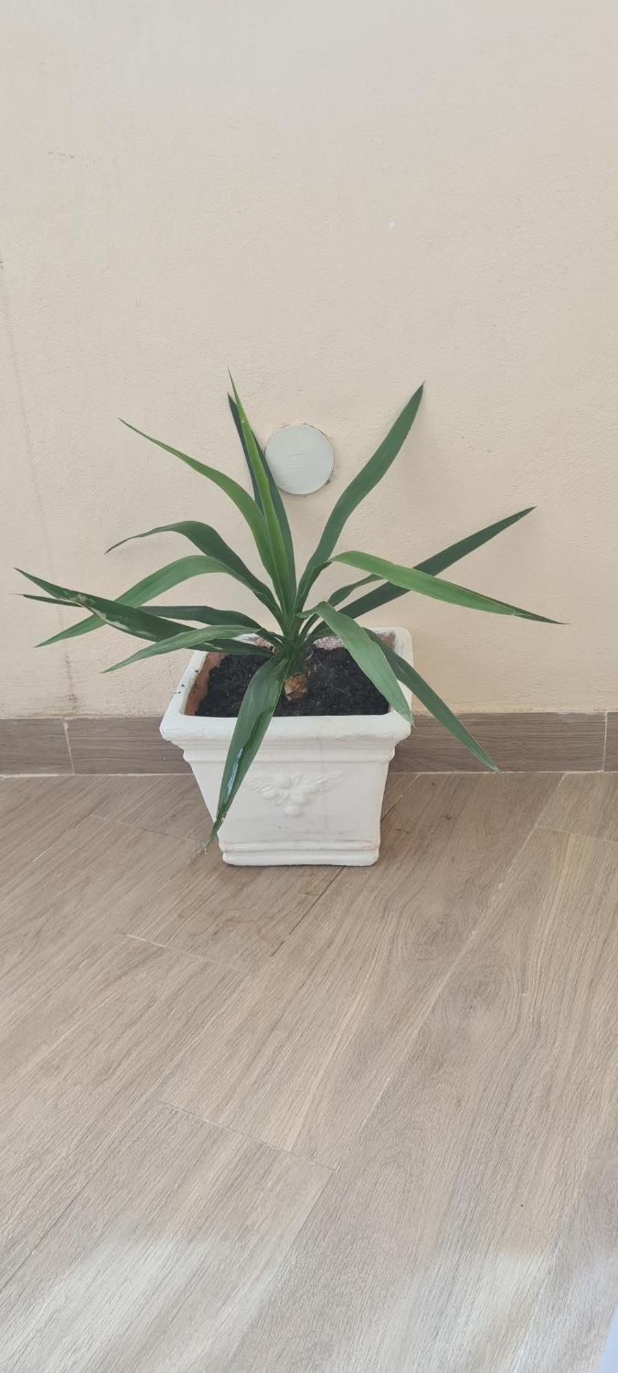 Brezza Marina Сasa de vacaciones